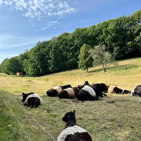 Kleinod Dittmannsdorf Dittmannsdorf (Gornau)