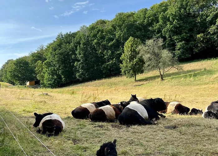 Kleinod Dittmannsdorf Dittmannsdorf (Gornau)